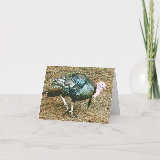 Carte de billet pliée de la photo Turquie (Devant)