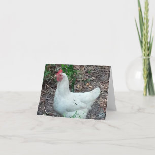 Carte de billet pliée photo de poulet blanc