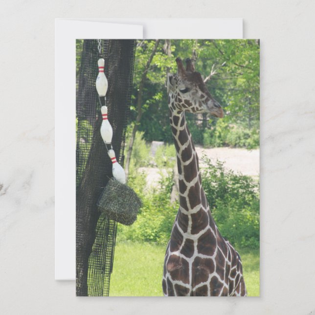Carte de billet vierge - Personnalisable - Giraffe (Devant)