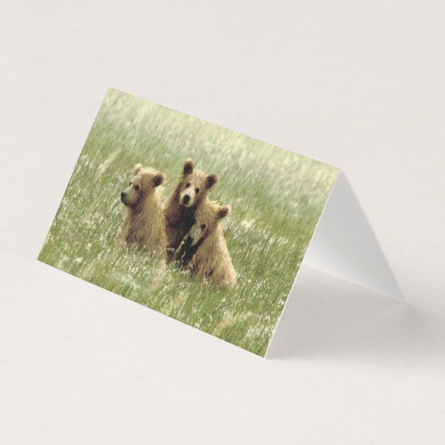 Carte de billet vierge pliée de grizzli & oursons (Front)