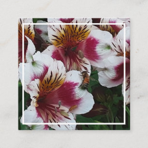 Carte de boîtier abeille et alstromerias