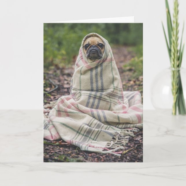 CARTE DE BON ANNIVERSAIRE CHIEN PUG (Devant)