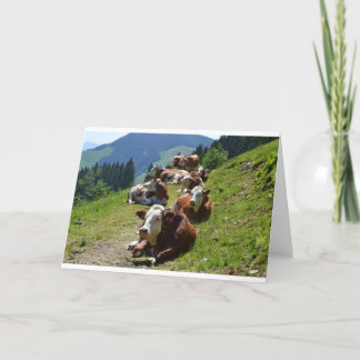 Carte de Bon Anniversaire Groupe de Vaches