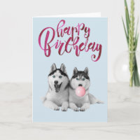 Carte de bon anniversaire pour chien Husky sibérie