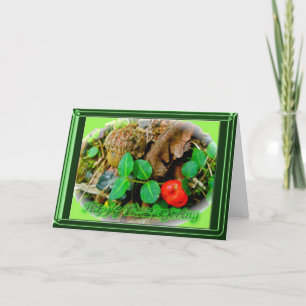 Carte de Bon thanksgiving de baie de perdrix
