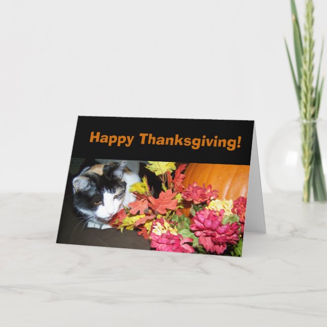 Carte de bon thanksgiving de chat de calicot (Devant)