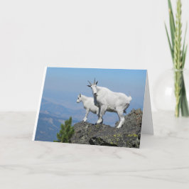 Carte de bonne chance avec la chèvre de montagne