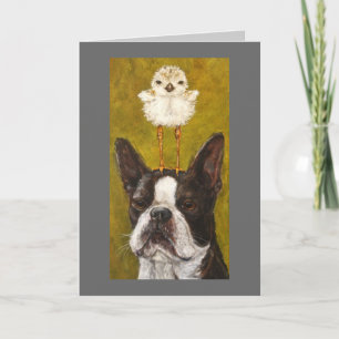 carte de boston et de plover