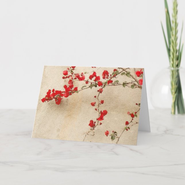 Carte de bouganvillée (Devant)