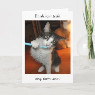 Carte de brossage de dents de chat