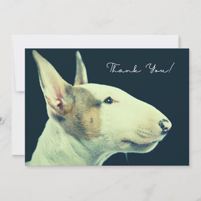 Carte de Bull Terrier (Devant)