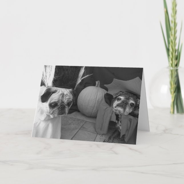 Carte de Bumblesnot Halloween : Charme sur vous (Devant)