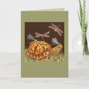 Carte de bus Turtle School