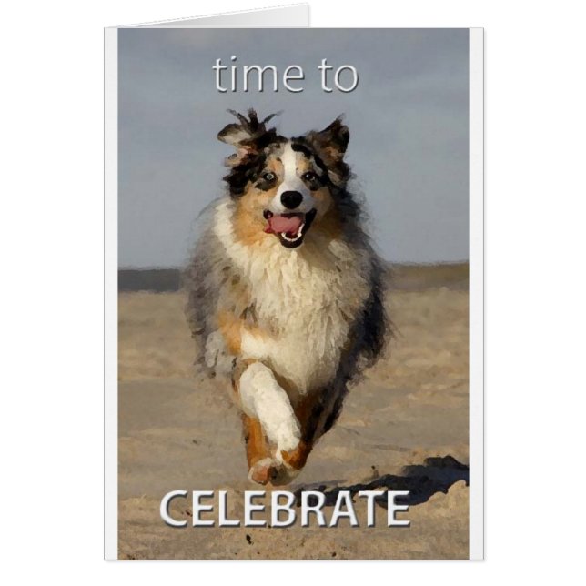 Carte de célébration avec Australian Shepherd (Devant)