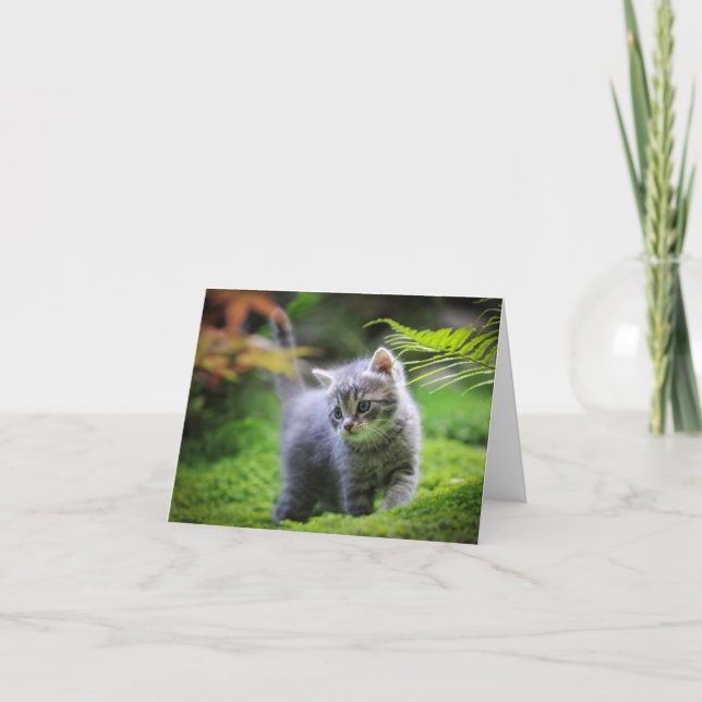 Carte de chat (Devant)