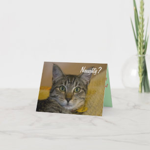 Carte de chat coquine ou Nice
