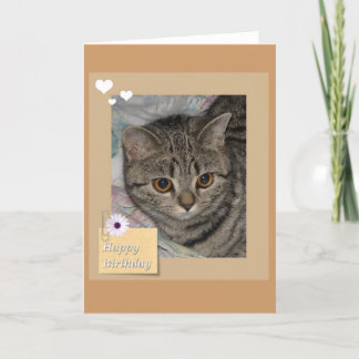 Carte de chat d'anniversaire
