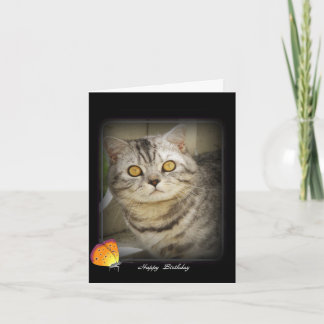 Carte de chat d'anniversaire