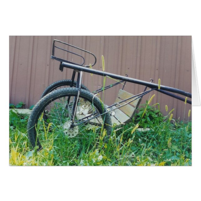 Carte de chat de grange (Devant horizontal)