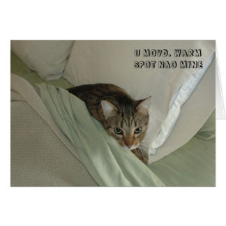 Carte de chat de LOL