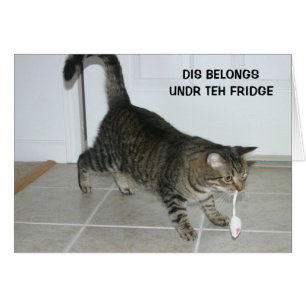 Carte de chat de LOL