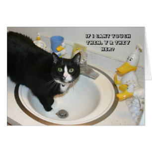 Carte de chat de LOL