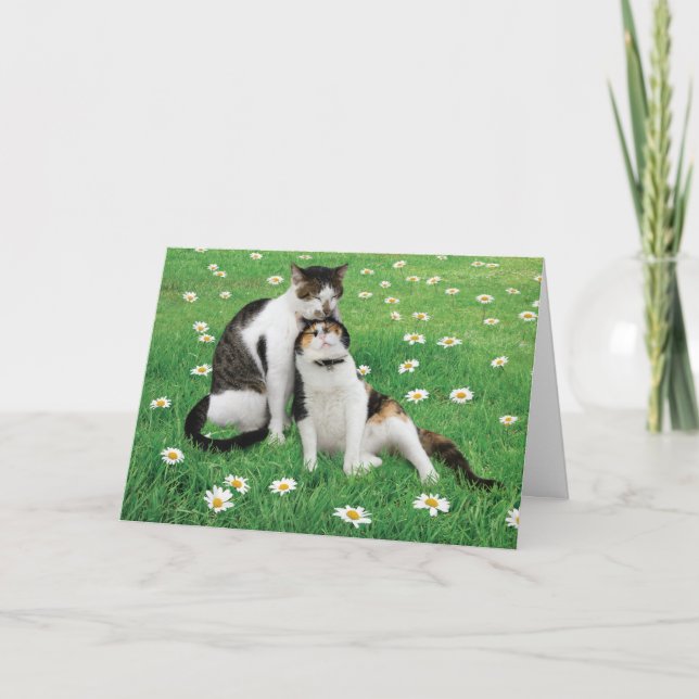 Carte de chat de mariage drôle mignon meilleur (Devant)