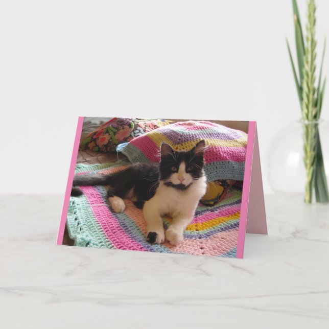 Carte de chat élégant endormi sur un tapis au croc (Devant)