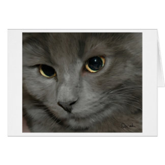 Carte de chat gris