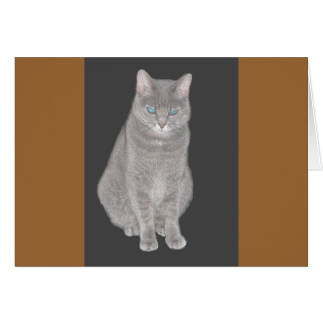 Carte de chat gris (Devant horizontal)
