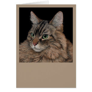 Carte de chat Maine Coon