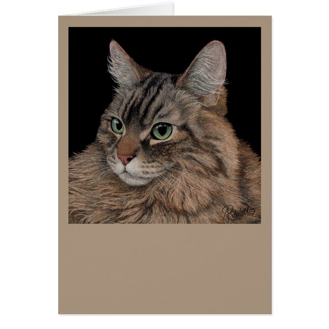Carte de chat Maine Coon (Devant)