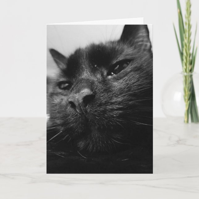 Carte de chat noir (Devant)