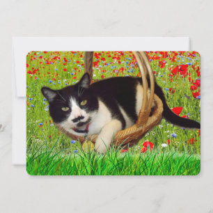 Carte de chat noir en smoking mignon