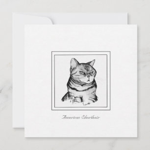 Carte de chat noir et blanc à aire courte américai