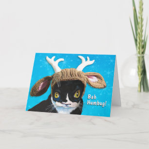 Carte de chat pas si Festive