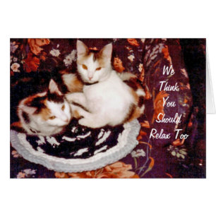 Carte de chat pensant