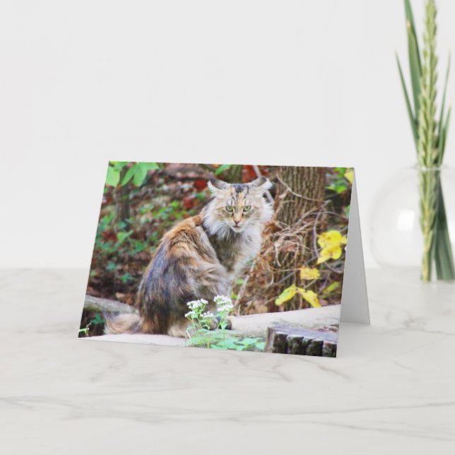 Carte de chat sauvage assis dans les bois (Devant)