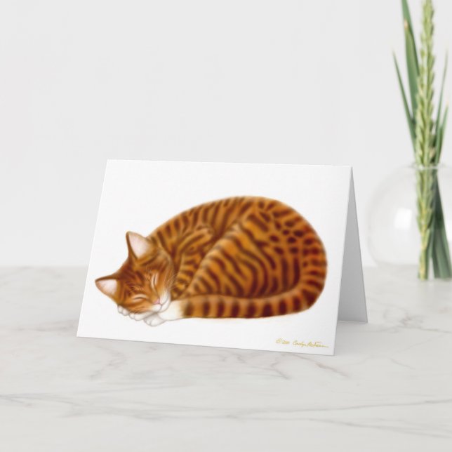 Carte de chat tablette couchage (Devant)