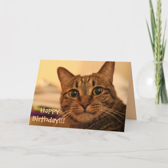 Carte de chat tigré de joyeux anniversaire (Devant)
