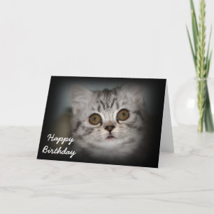 Carte de chaton de joyeux anniversaire