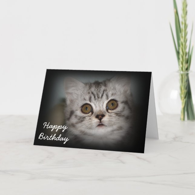 Carte de chaton de joyeux anniversaire (Devant)