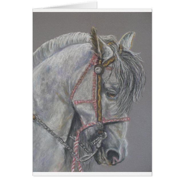 Carte de cheval d'Andualusian (Devant)