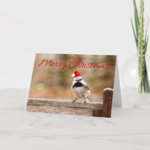 Carte de Chickadee de Père Noël de Joyeux Noël
