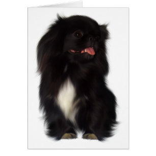 Carte de chien