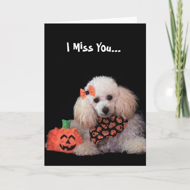 Carte de chien de caniche pour Halloween (Devant)