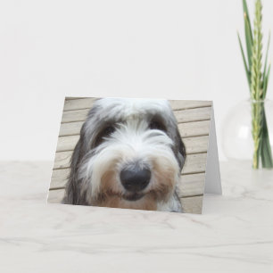 Carte de chien de mouton Smile Old English