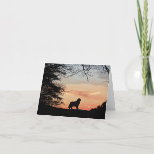 Carte de chien de Terre-Neuve