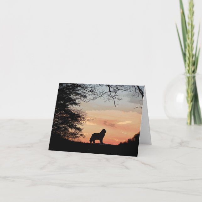 Carte de chien de Terre-Neuve (Devant)