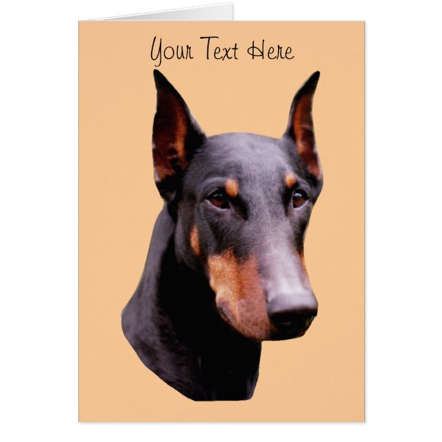 Carte de chien de visage de Pinscher de dobermann (Devant)